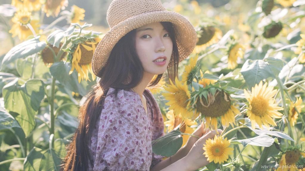 向日葵花海美女图片