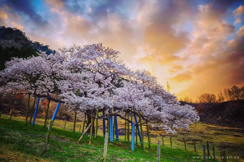 超美日本九州岛熊本如画风景 图片大全