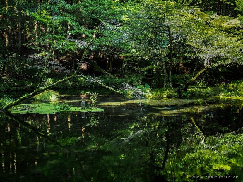 超美日本九州岛熊本如画风景 图片大全