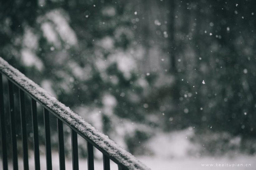 唯美纷纷扬扬的雪花图片大全