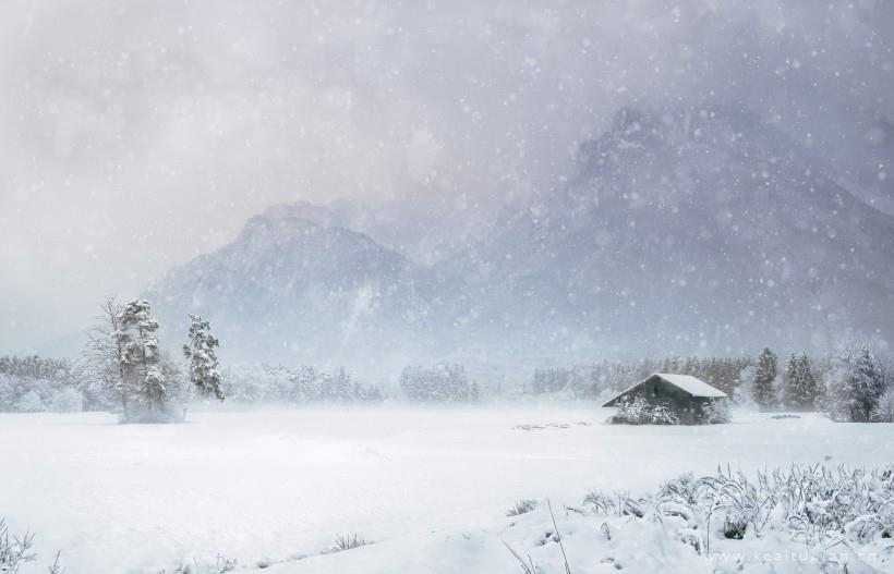 唯美纷纷扬扬的雪花图片大全
