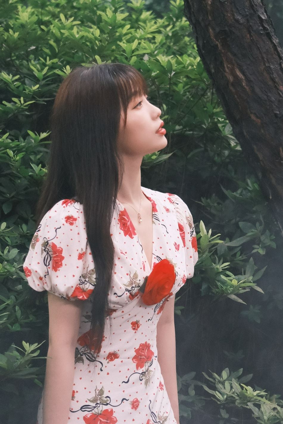 虞书欣红玫瑰长裙港风十足写真