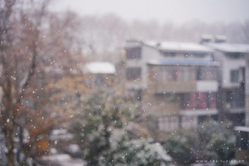 唯美纷纷扬扬的雪花图片大全
