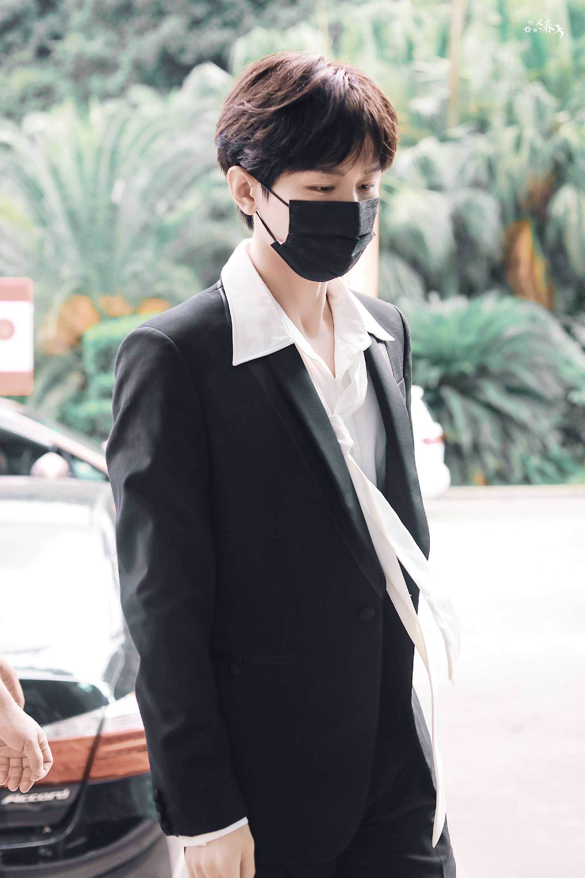 成毅录制快乐大本营图片