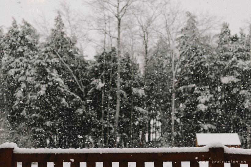 唯美纷纷扬扬的雪花图片大全