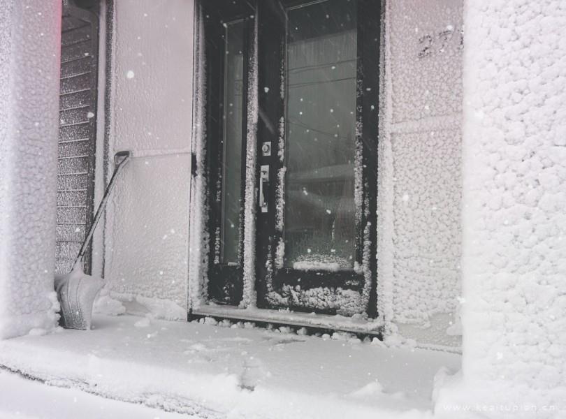 唯美纷纷扬扬的雪花图片大全