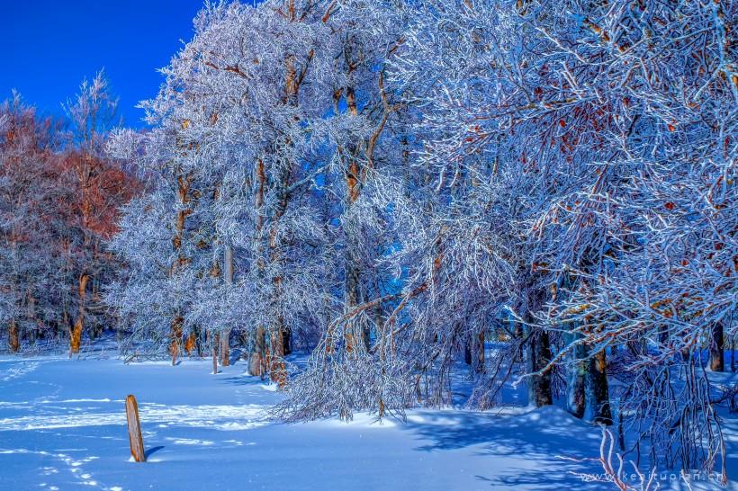 唯美冬季苍茫的白色雪景图片大全