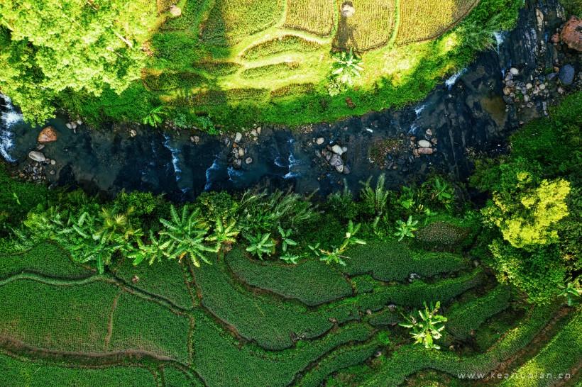 好看绿油油的梯田图片大全