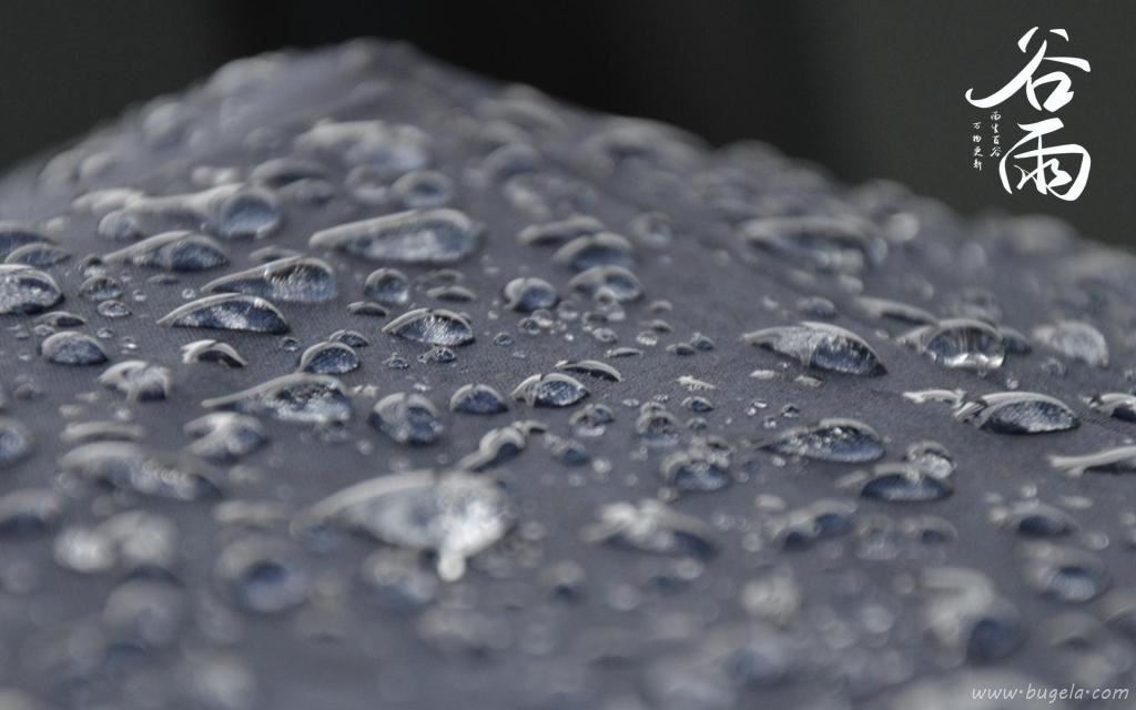 谷雨时节唯美诗句图片