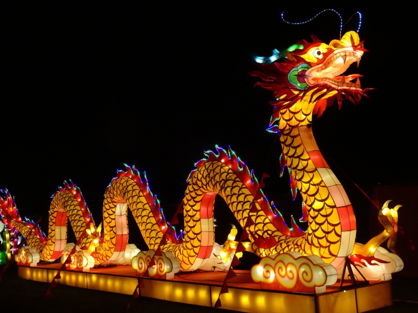 超美绚丽多彩的龙形花灯图片大全
