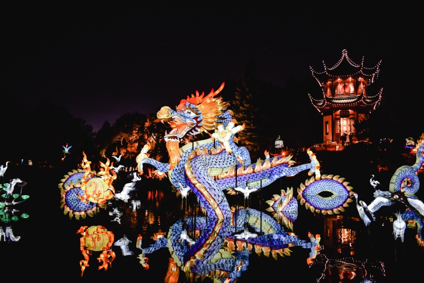 超美绚丽多彩的龙形花灯图片大全