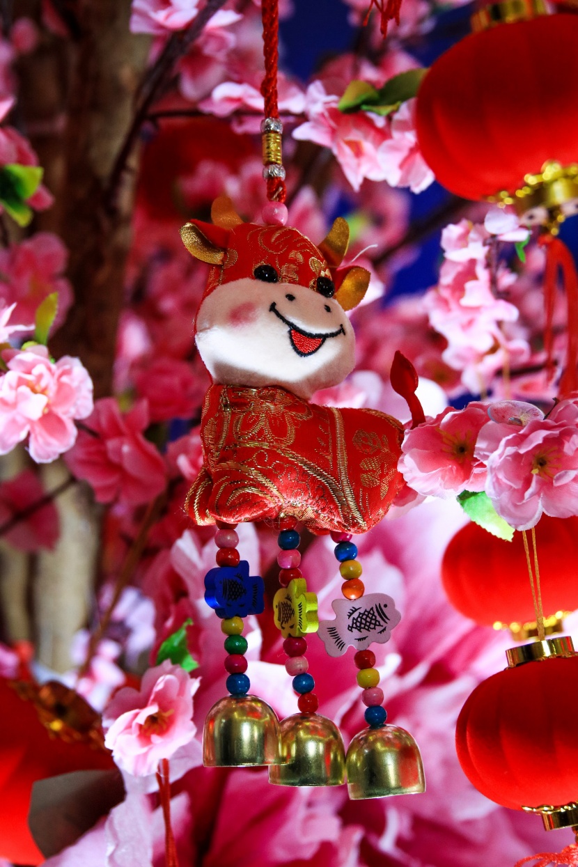 唯美喜庆的春节装饰元素图片大全