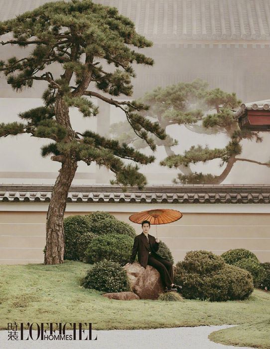 杨洋国风大片写真图片