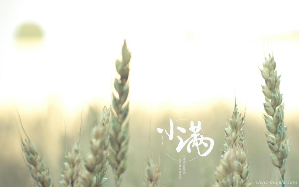 小满时节唯美风光图图片