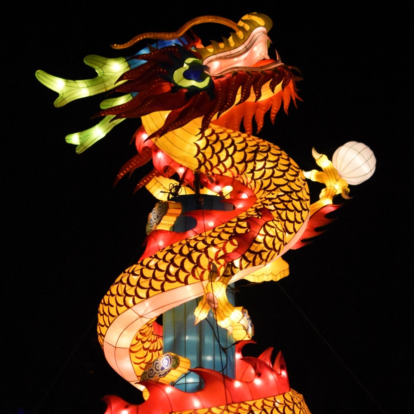 超美绚丽多彩的龙形花灯图片大全
