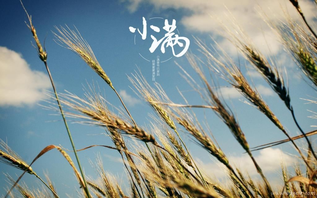 小满时节唯美风光图图片
