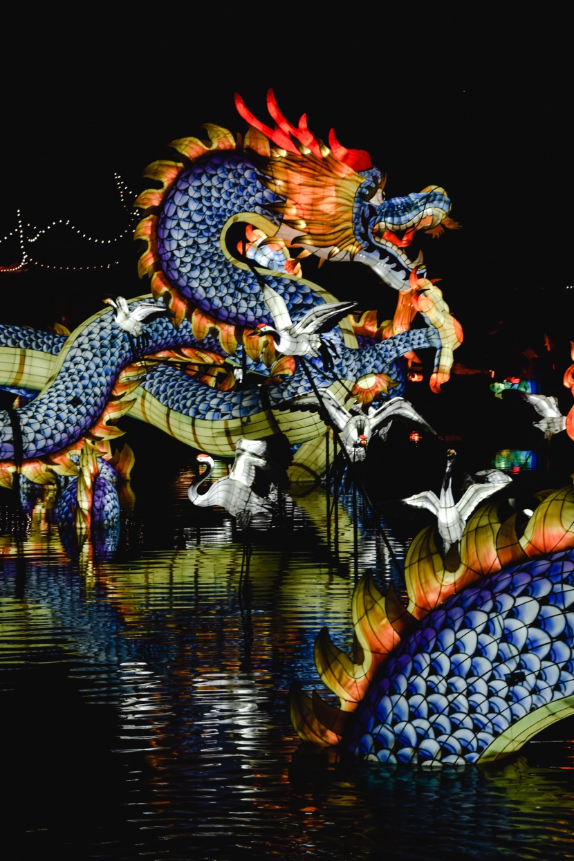 超美绚丽多彩的龙形花灯图片大全