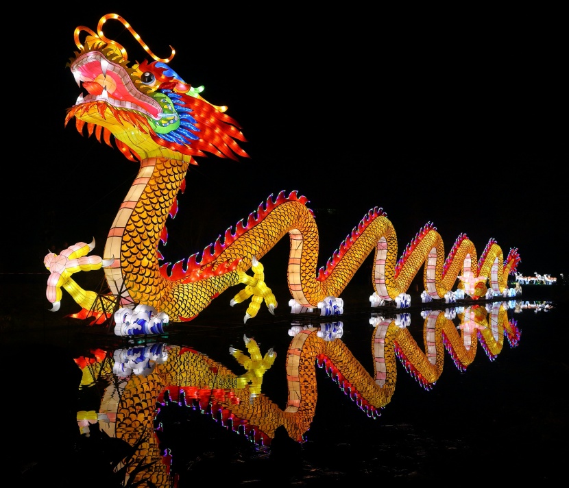 超美绚丽多彩的龙形花灯图片大全