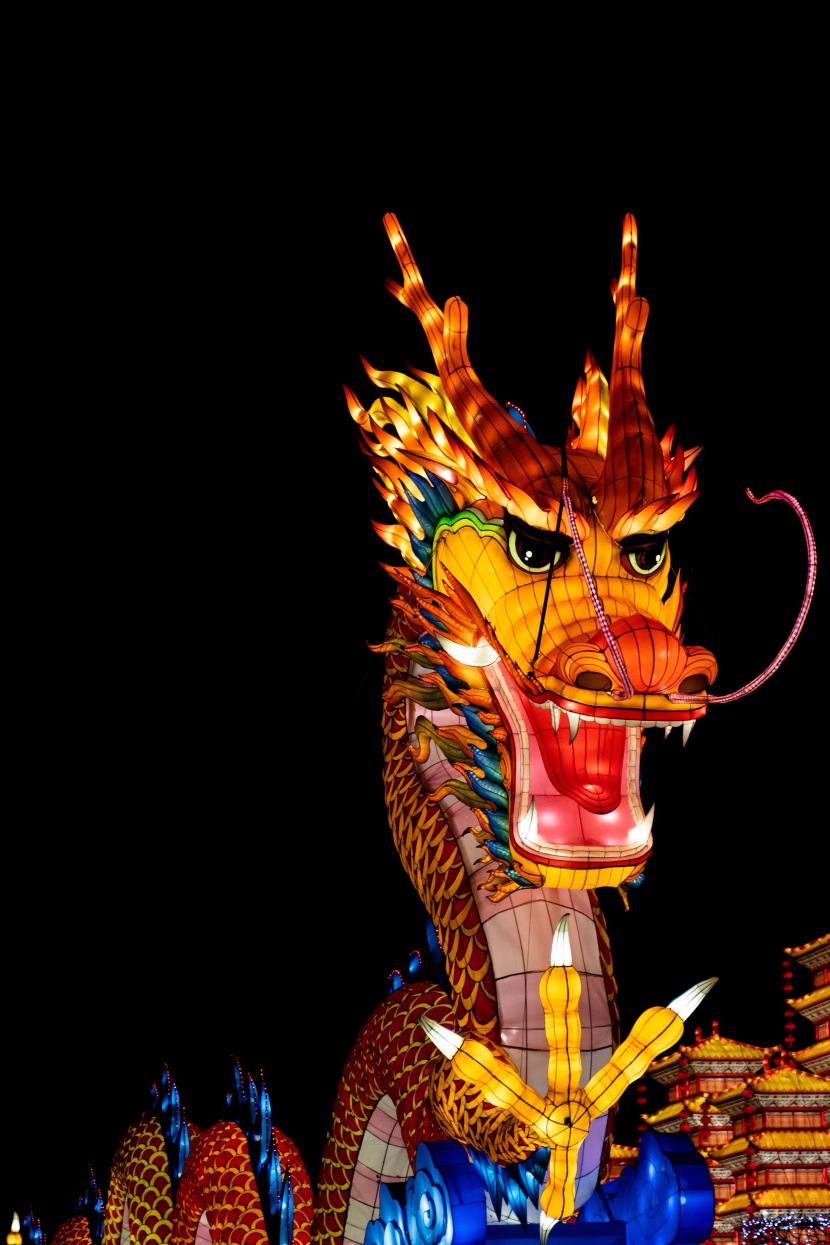 超美绚丽多彩的龙形花灯图片大全
