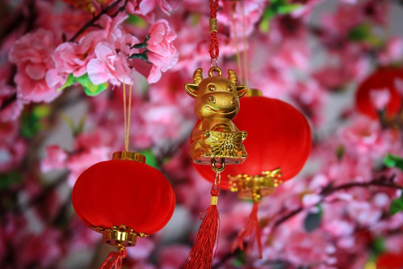 唯美喜庆的春节装饰元素图片大全