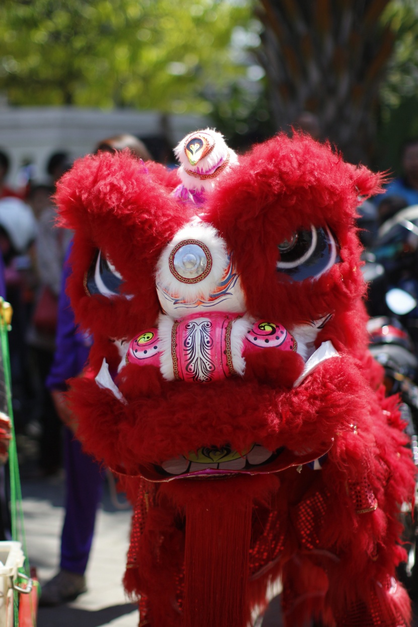 超美喜庆的节日舞狮图片大全