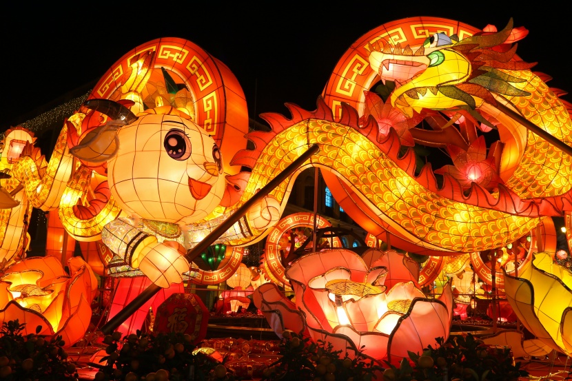 超美绚丽多彩的龙形花灯图片大全
