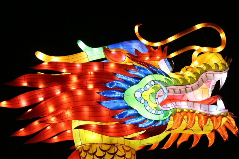 超美绚丽多彩的龙形花灯图片大全