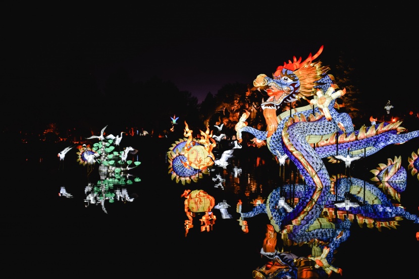 超美绚丽多彩的龙形花灯图片大全