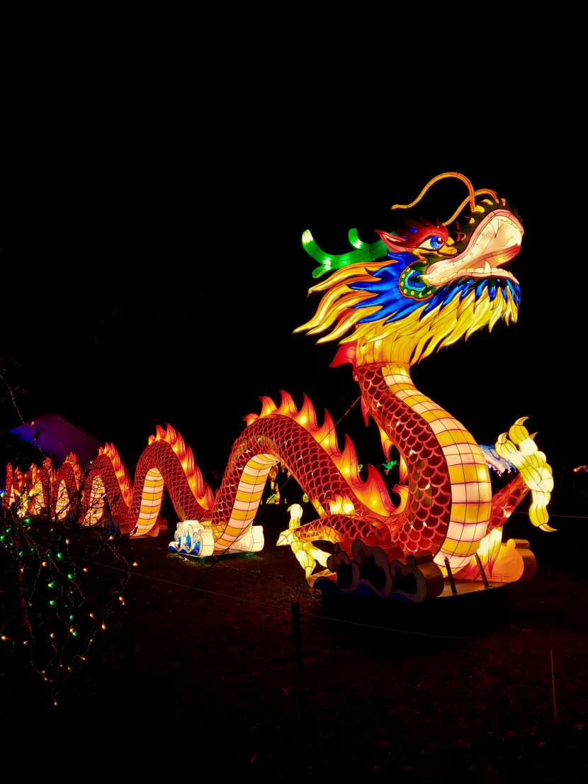 超美绚丽多彩的龙形花灯图片大全