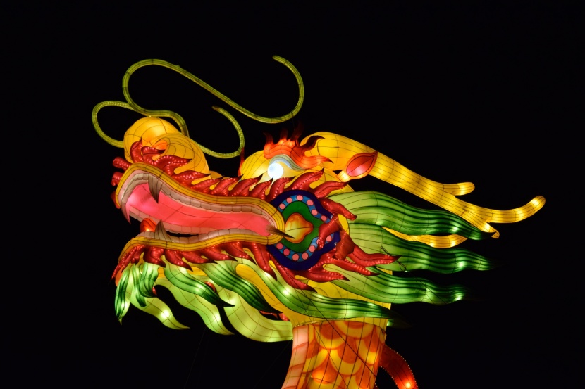 超美绚丽多彩的龙形花灯图片大全
