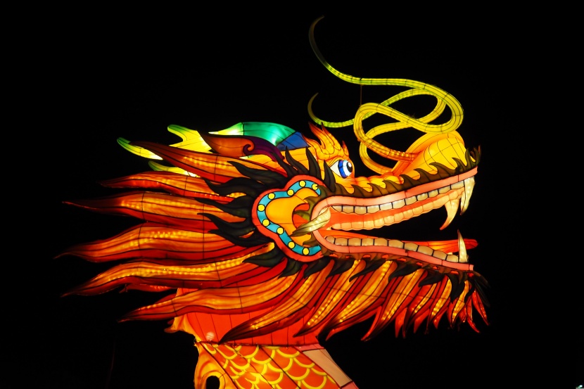 超美绚丽多彩的龙形花灯图片大全