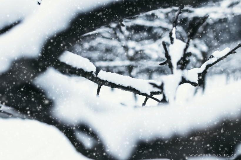 唯美冬季冰雪景色图片大全