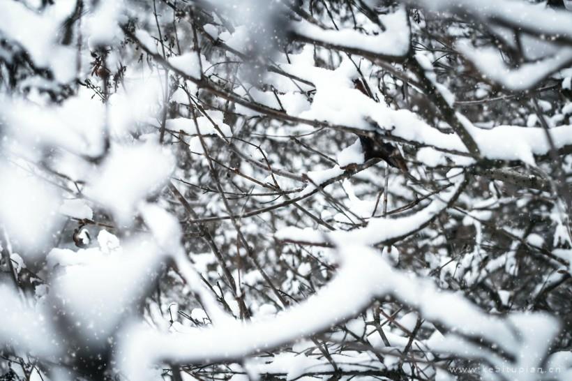 唯美冬季冰雪景色图片大全