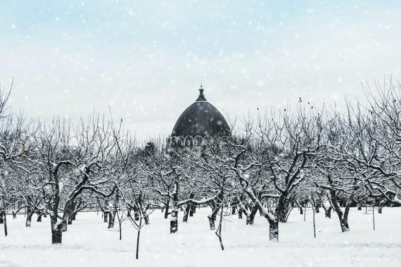 唯美冬季冰雪景色图片大全