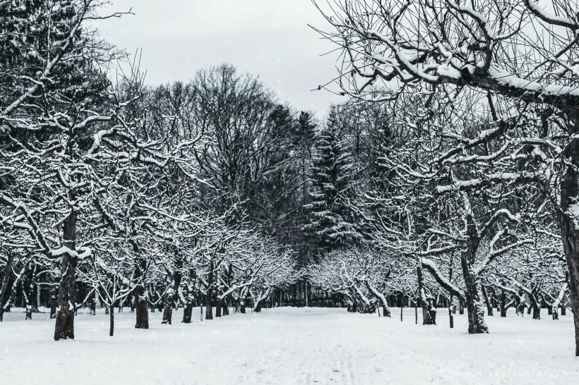 唯美冬季冰雪景色图片大全