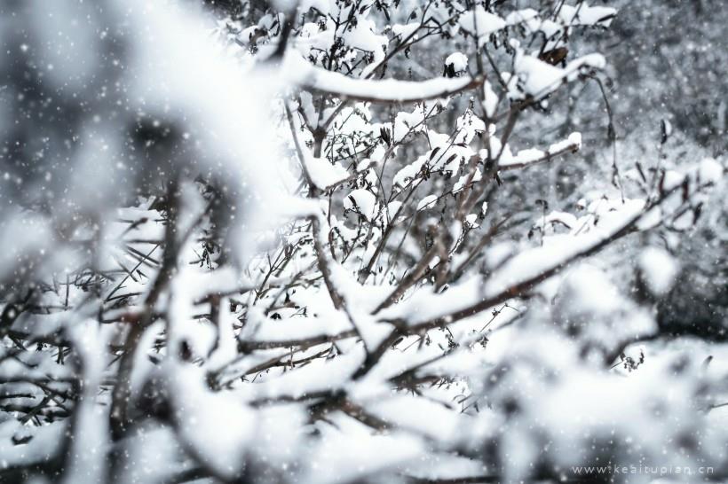 唯美冬季冰雪景色图片大全