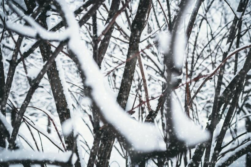 唯美冬季冰雪景色图片大全