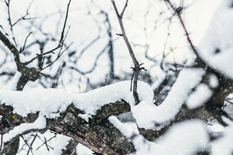 唯美冬季冰雪景色图片大全