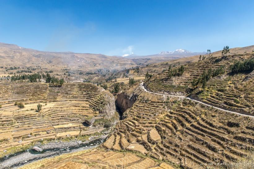 唯美层层叠叠的梯田图片大全