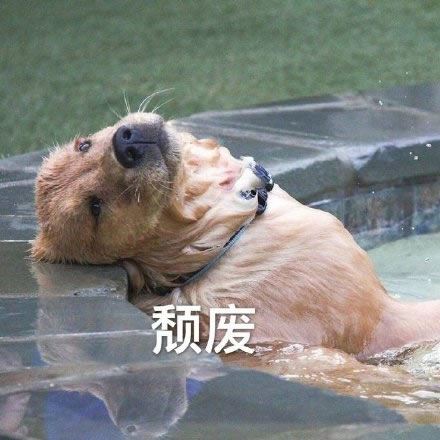 颓废头像图片