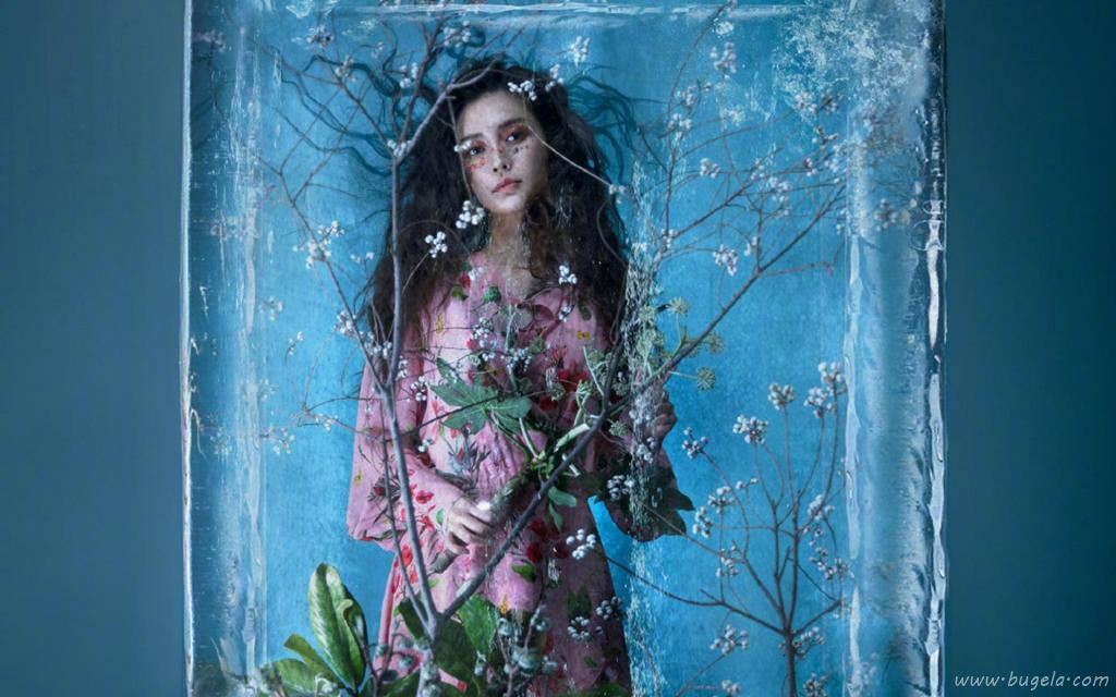  Angelababy冰凌花大片图片