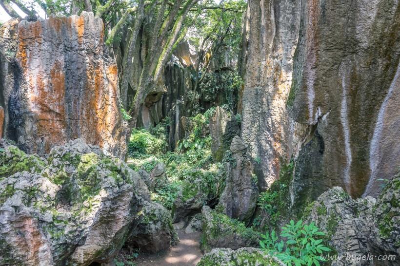 好看灰色的石林岩石图片大全