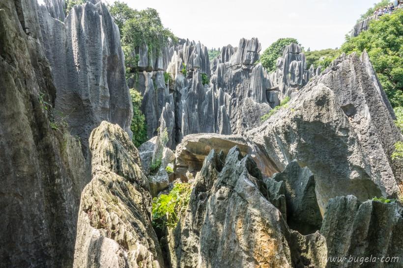好看灰色的石林岩石图片大全