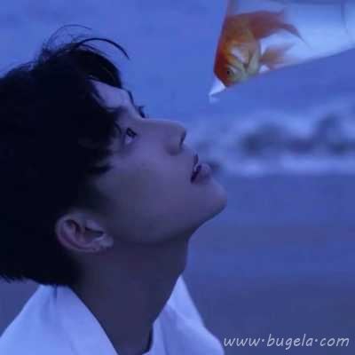 成熟范儿qq情人头像图片