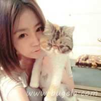 爱人一男一女抱猫头像图片