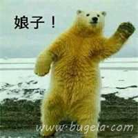 超级幽默的娘子啊哈伴侣头像图片