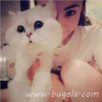爱人一男一女抱猫头像图片