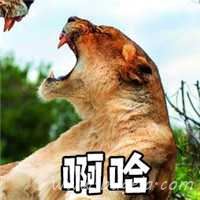 超级幽默的娘子啊哈伴侣头像图片