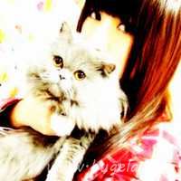 爱人一男一女抱猫头像图片