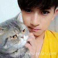 爱人一男一女抱猫头像图片